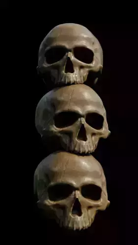 Skull