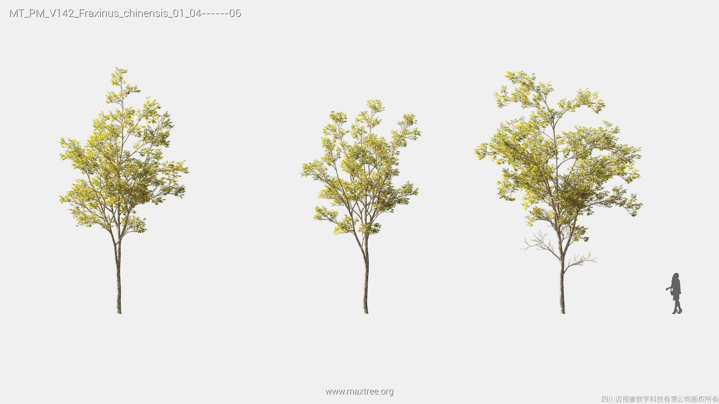 Maxtree Plant Models Vol 142 - Mesh 3D model_10