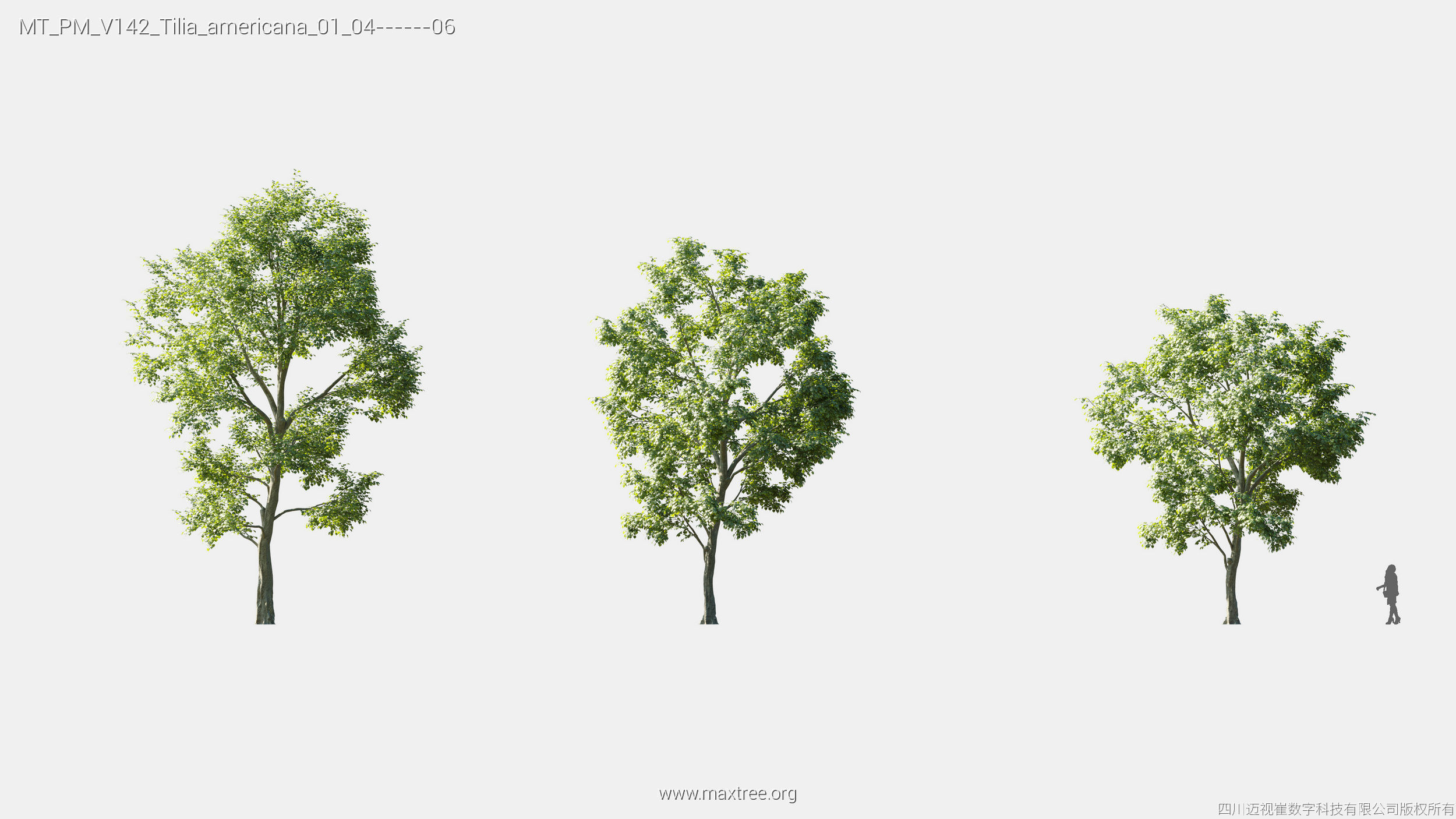 Maxtree Plant Models Vol 142 - Mesh 3D model_28