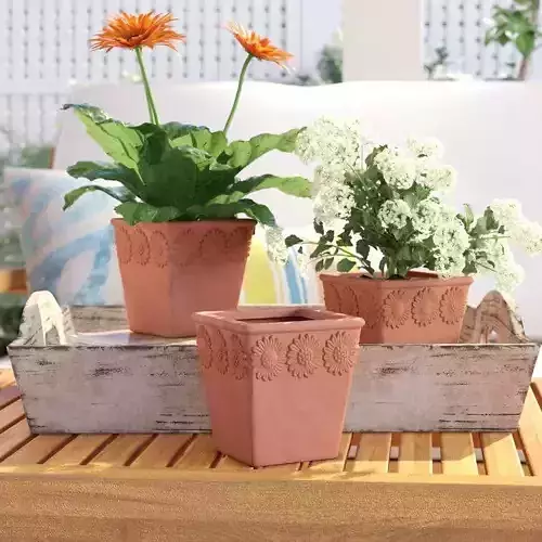 Mehrab Pot Planter