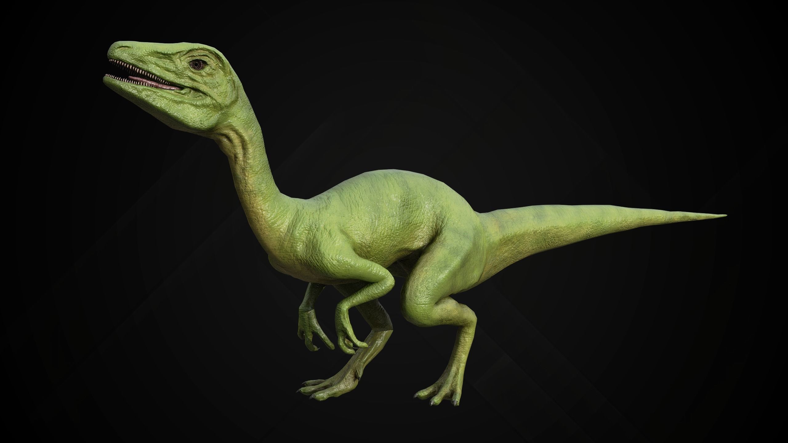 Dinosaur Collection _18