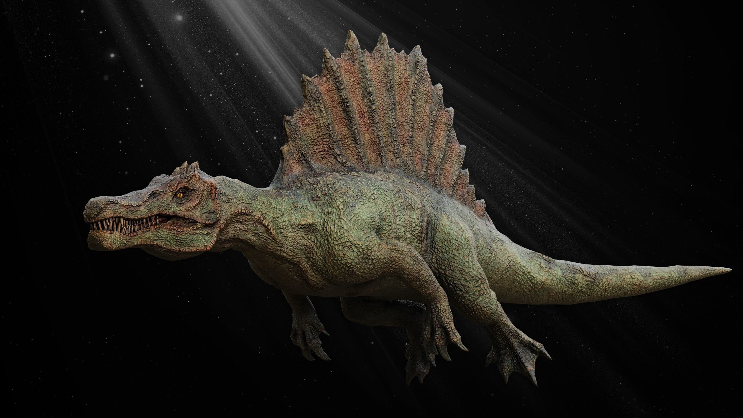 Dinosaur Collection _16