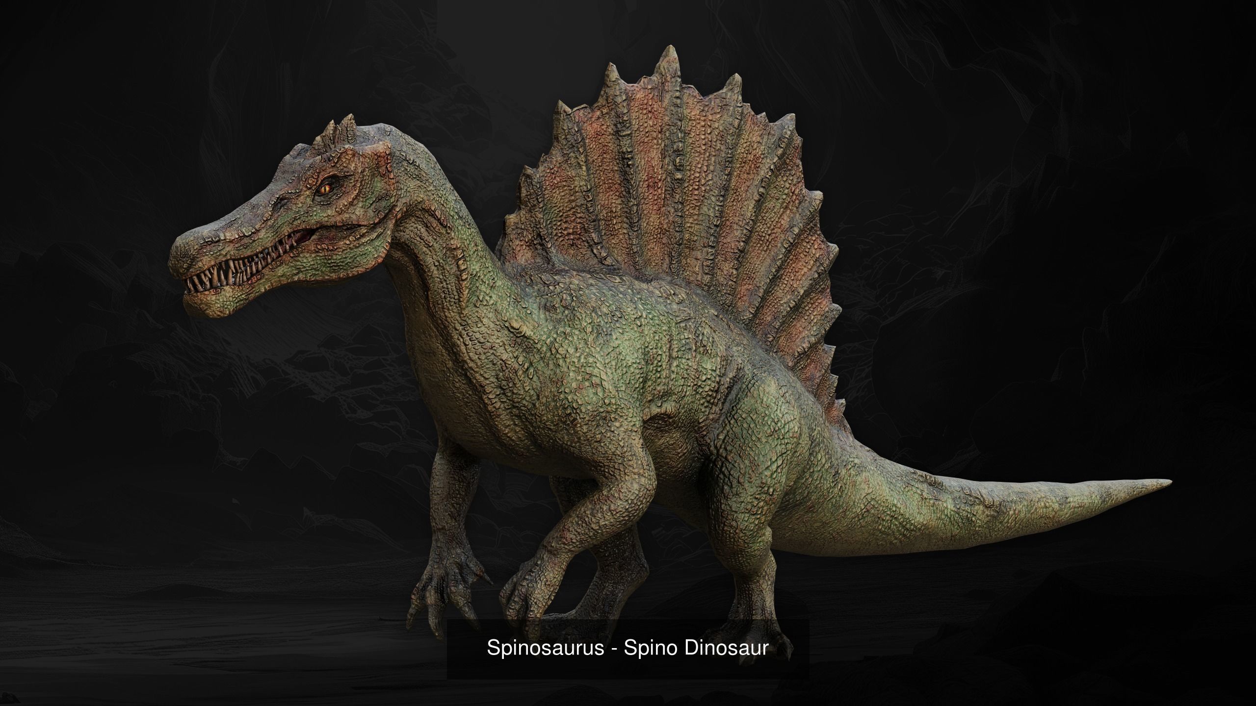 Dinosaur Collection _7