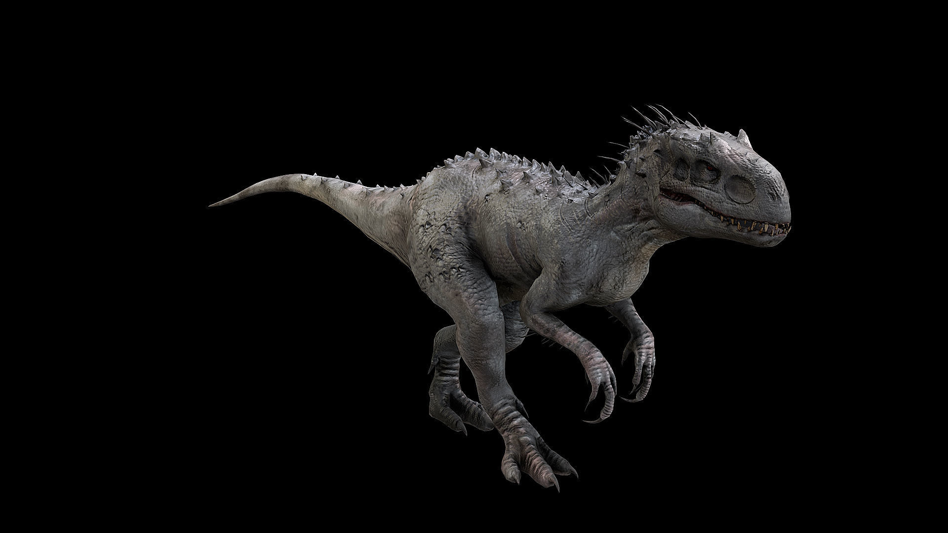 Dinosaur Collection _12