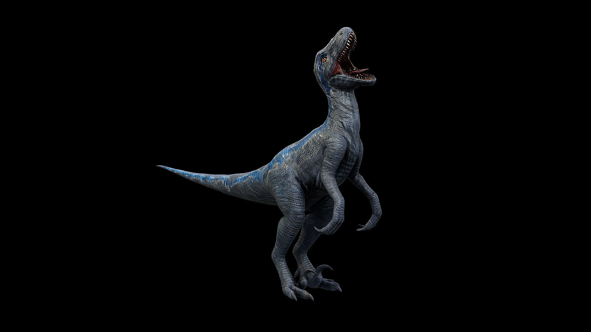 Dinosaur Collection _20