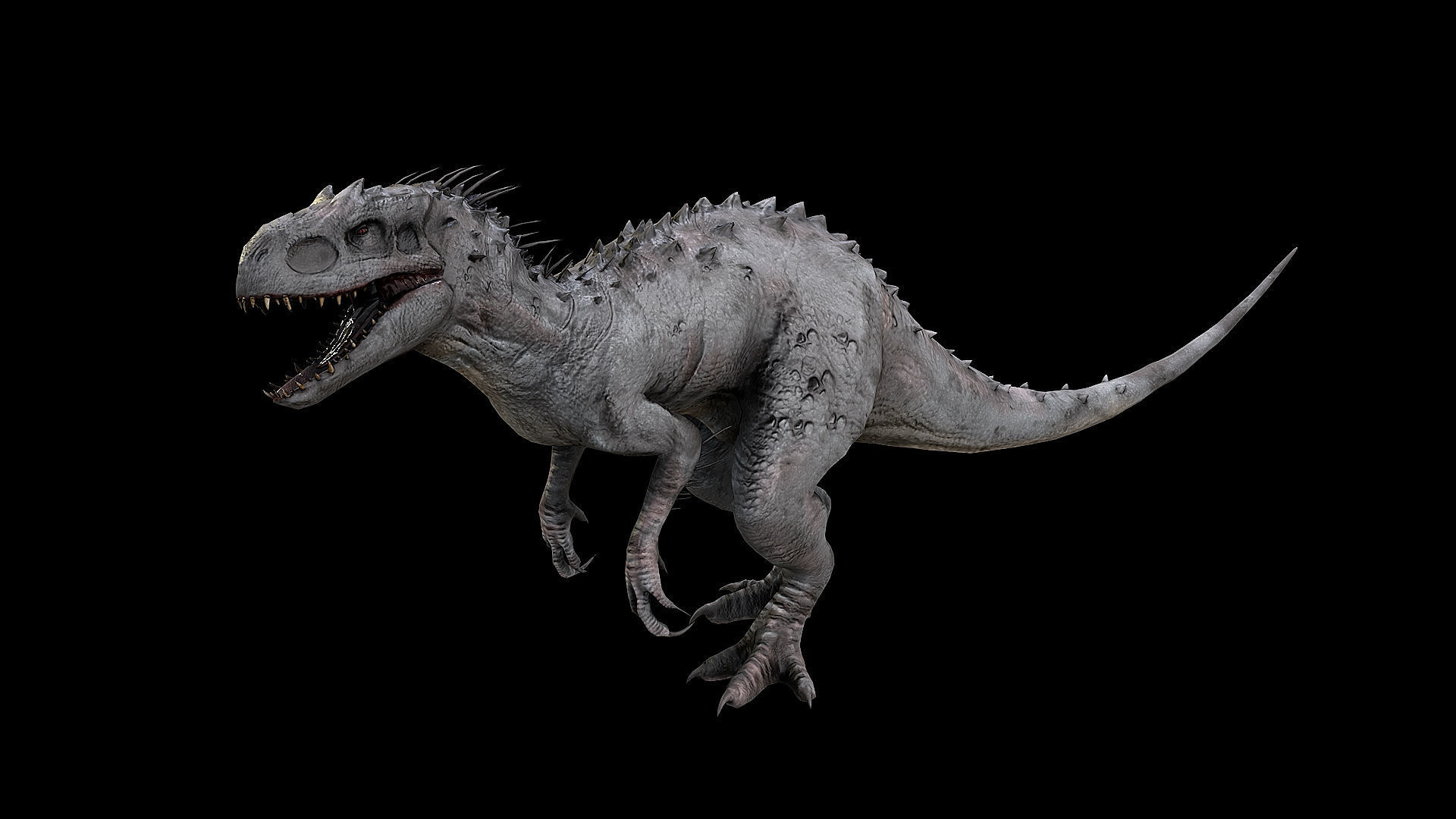 Dinosaur Collection _11