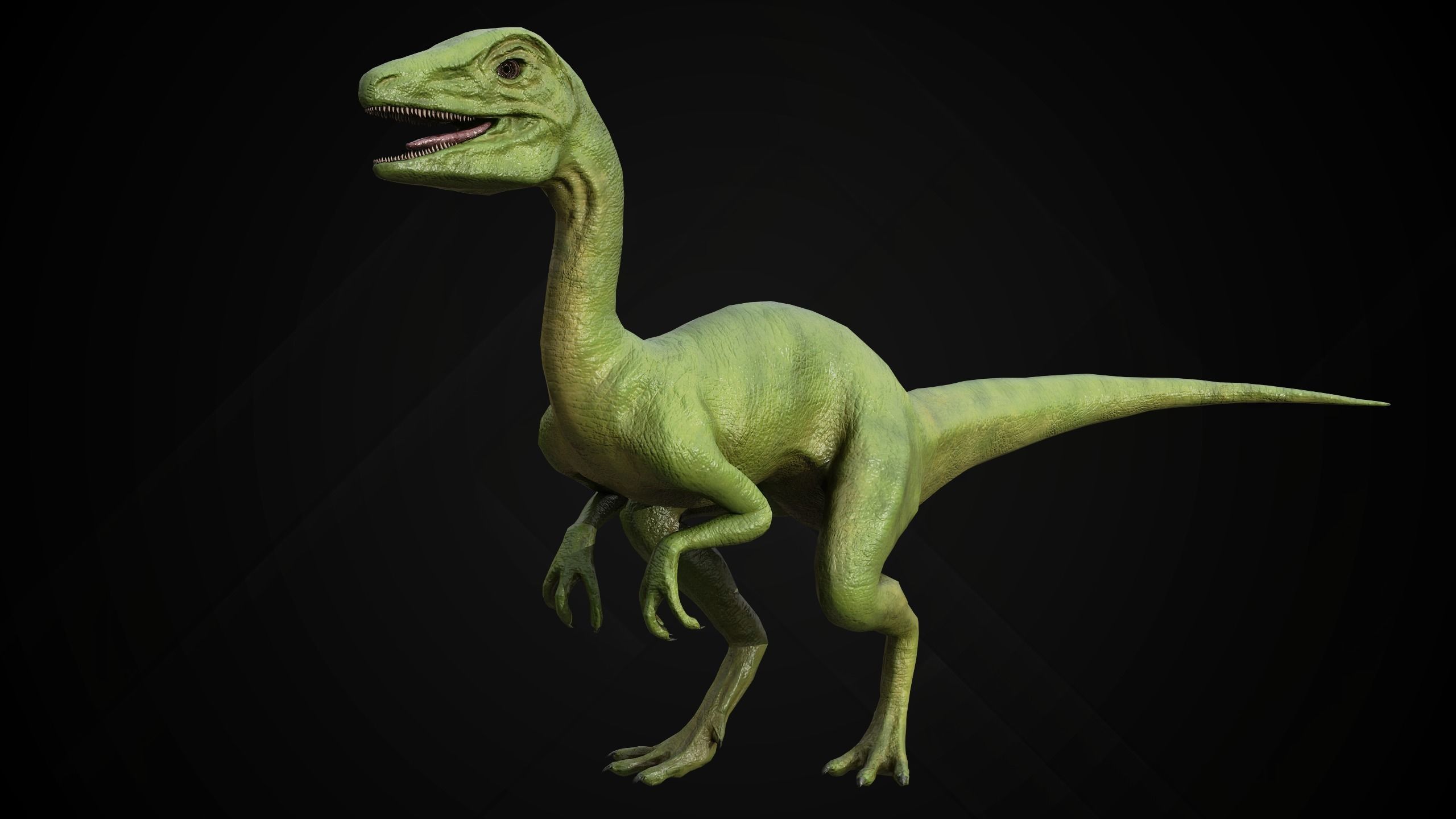 Dinosaur Collection _24