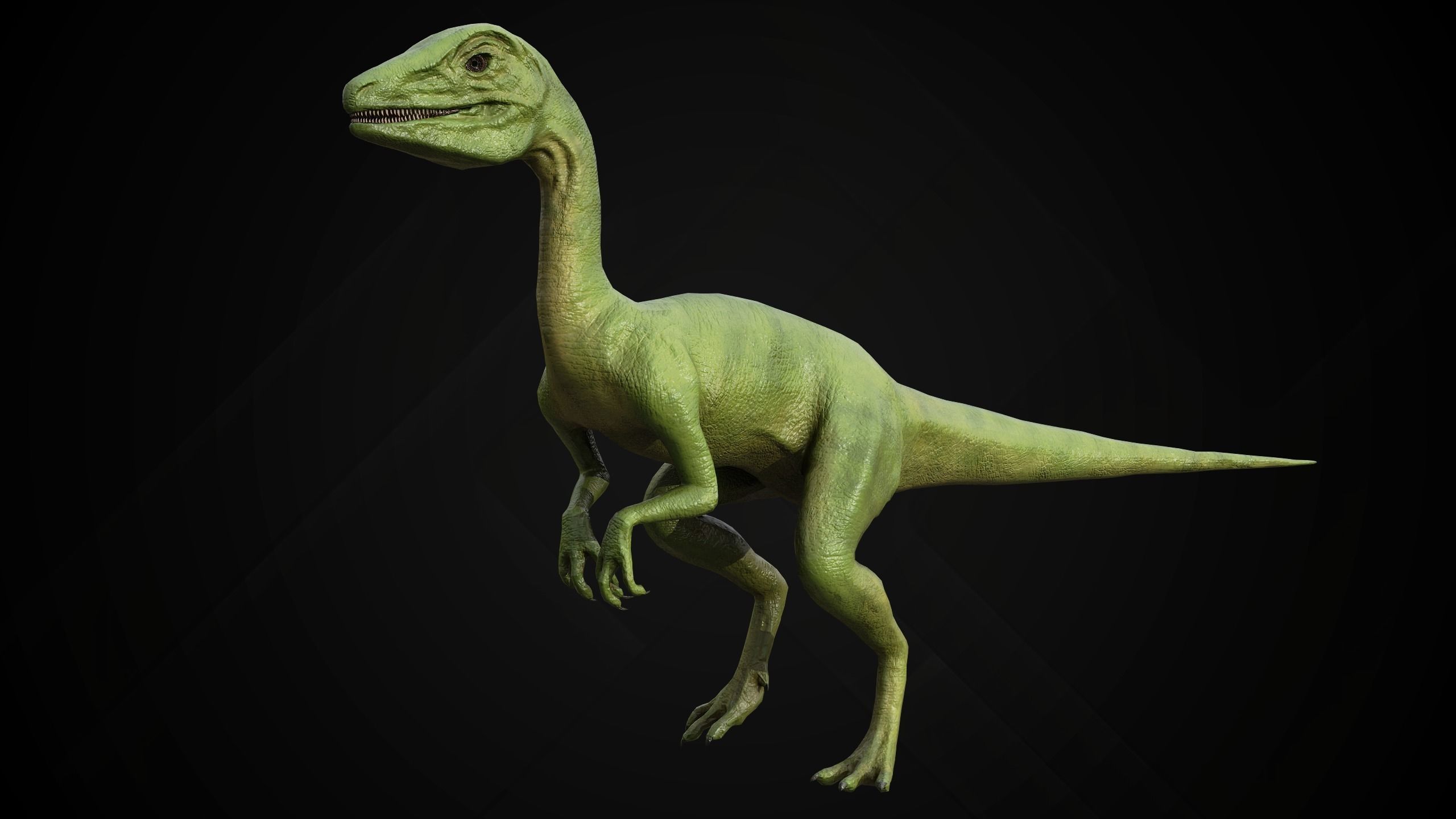 Dinosaur Collection _19