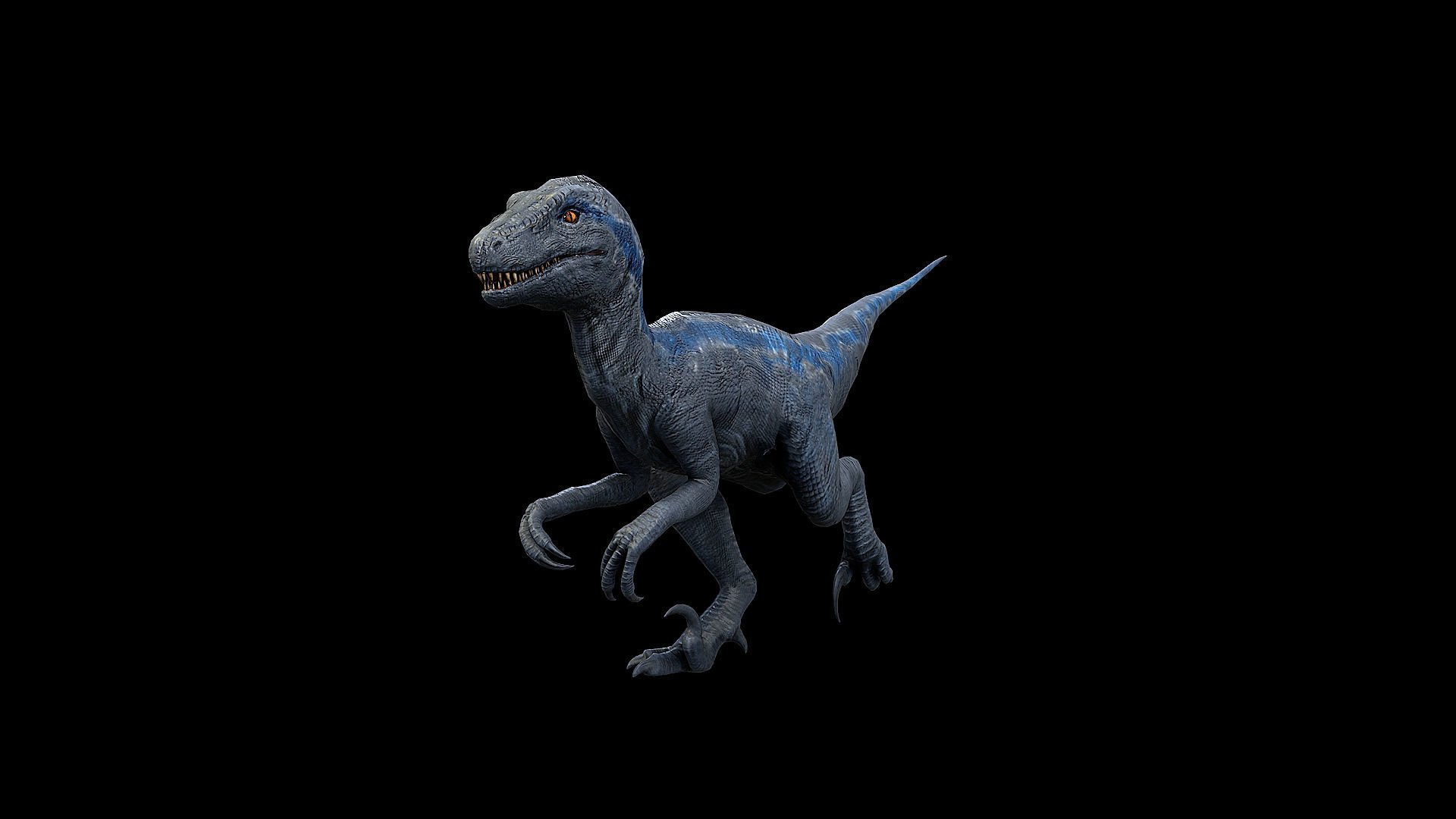 Dinosaur Collection _22