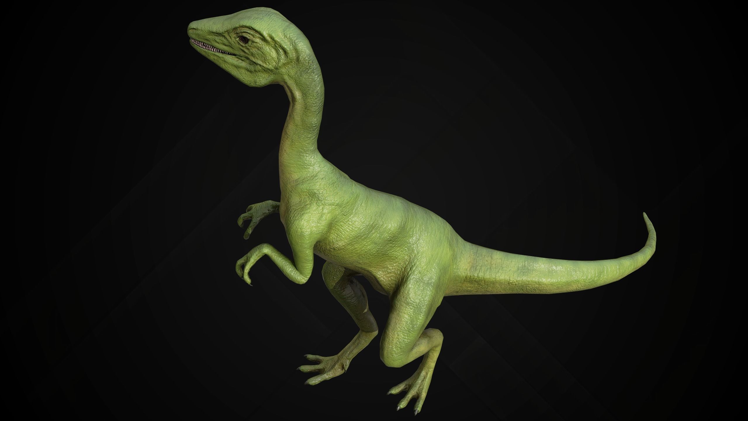 Dinosaur Collection _17