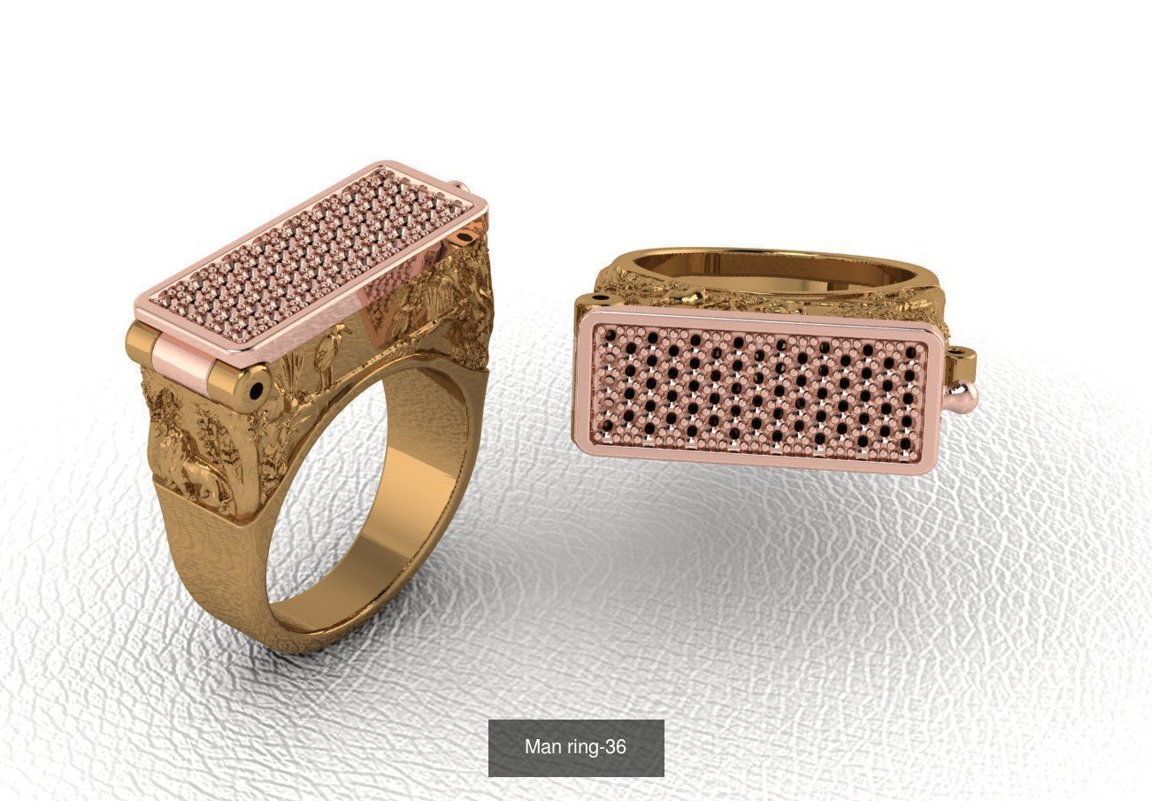 100 ring 3D Model Collection_54