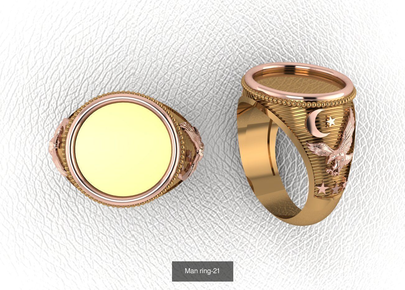 100 ring 3D Model Collection_39