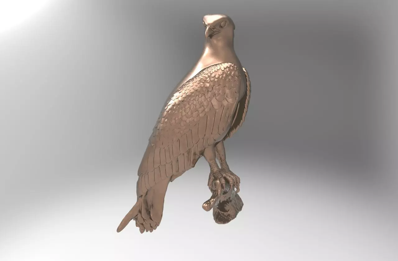 Obsprey Bird 3D print model