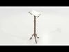 Wooden Lectern 3D model_1