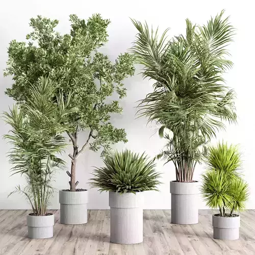 indoor plant set 442 plant tree palm grass bush
