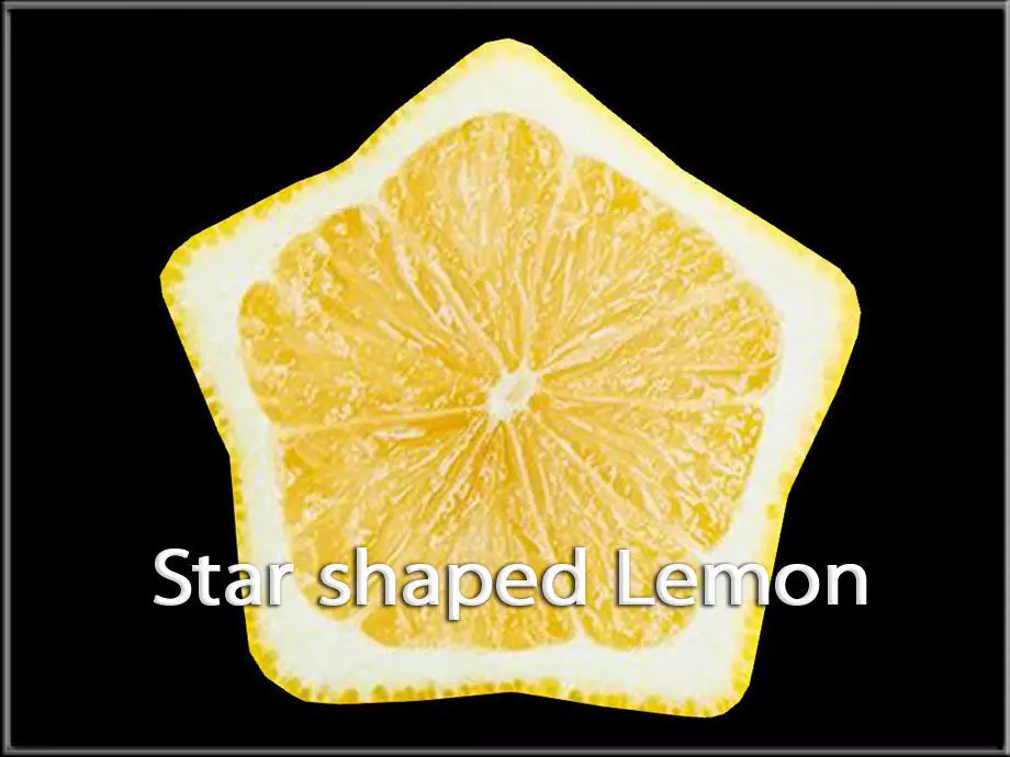 Star shaped Lemon Low-poly 3D model_0