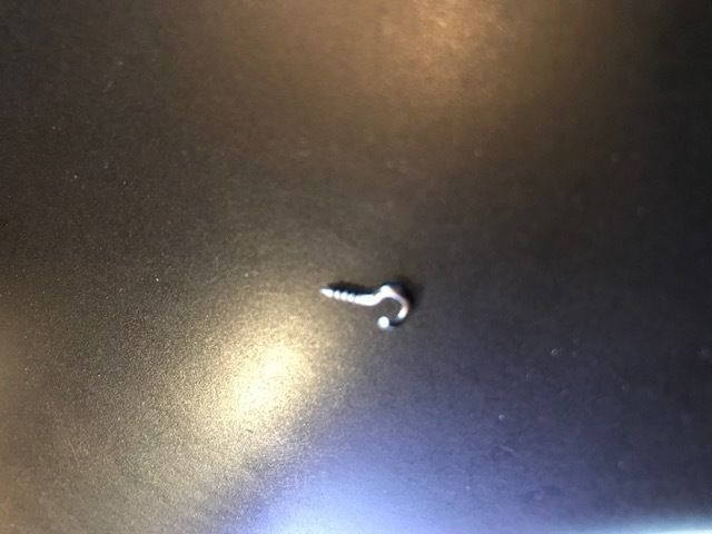 oiseau 3D print model_3