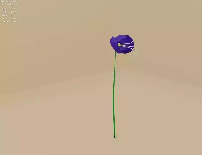 flower2