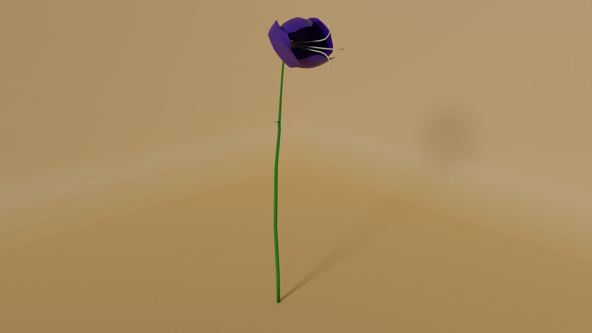 flower2 Free low-poly 3D model_2