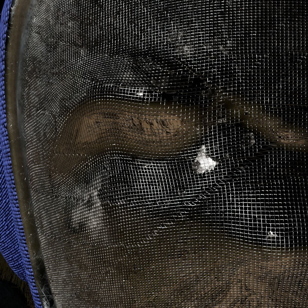 Teletubby - Tinkywinky 3D model_1