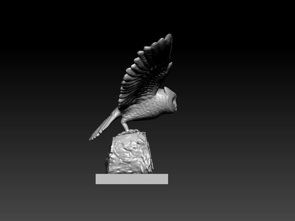 NCAA - RICE OWLS FOOTBALL MASCOT STATUE - 3D PRINT 3D print model_2