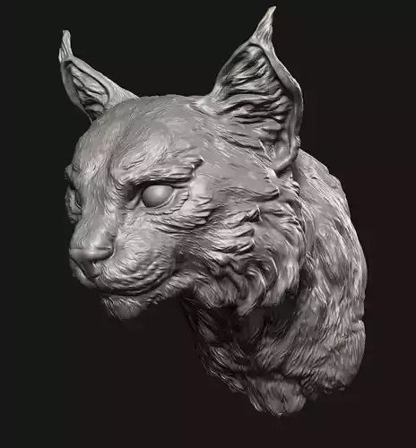 Bobcat head 3D print model