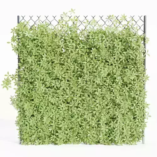 Virginia creeper on fence vol 182-Blender