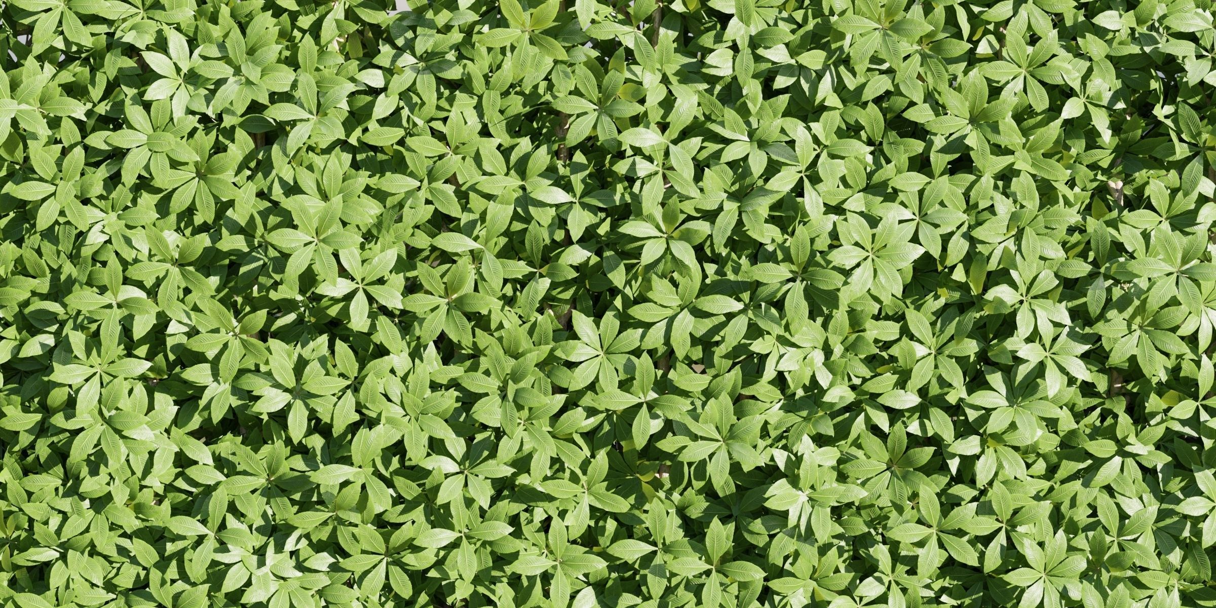 Virginia creeper on fence vol 182-Blender 3D model_2