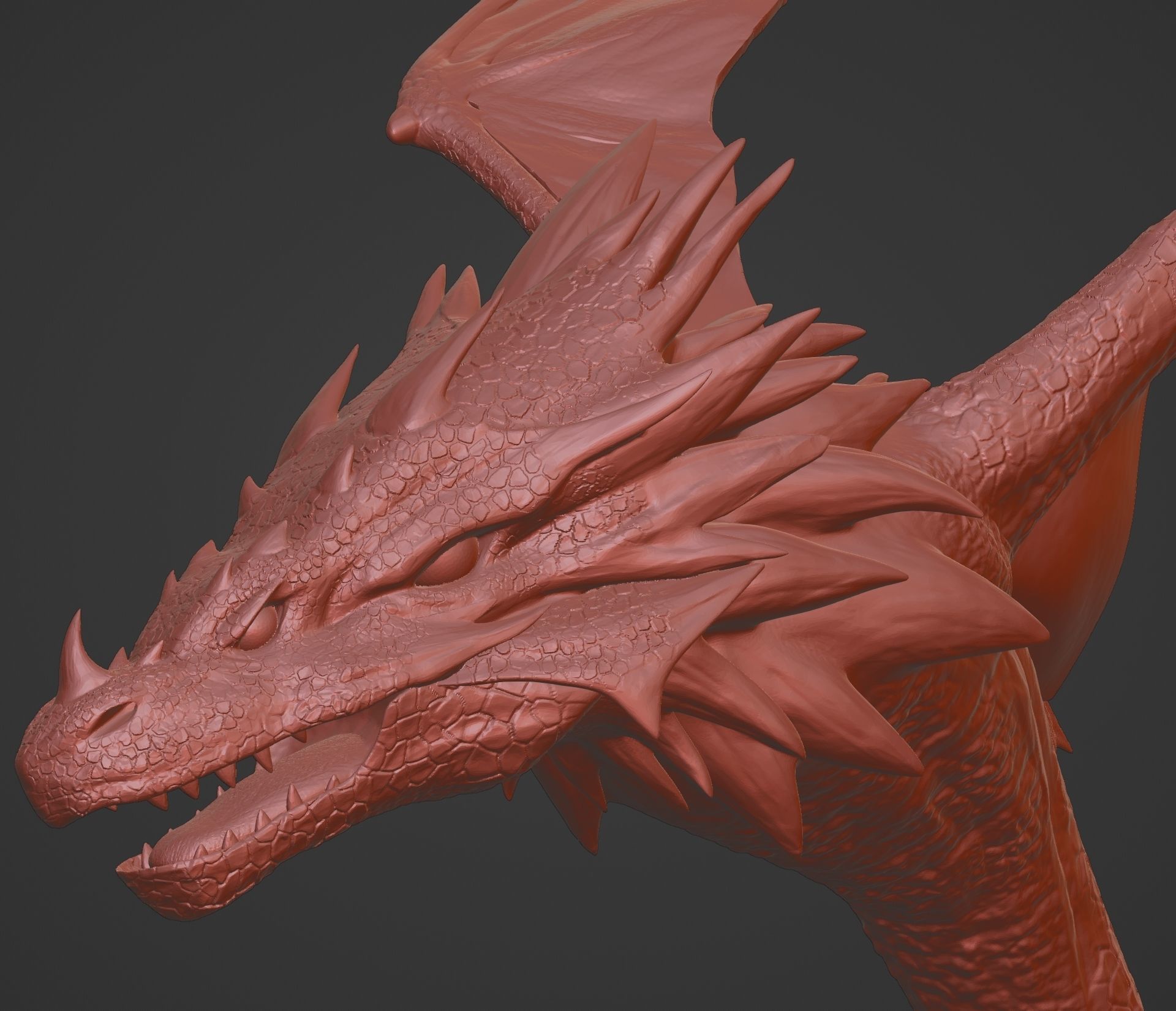 Sea Dragon 3D print model_11