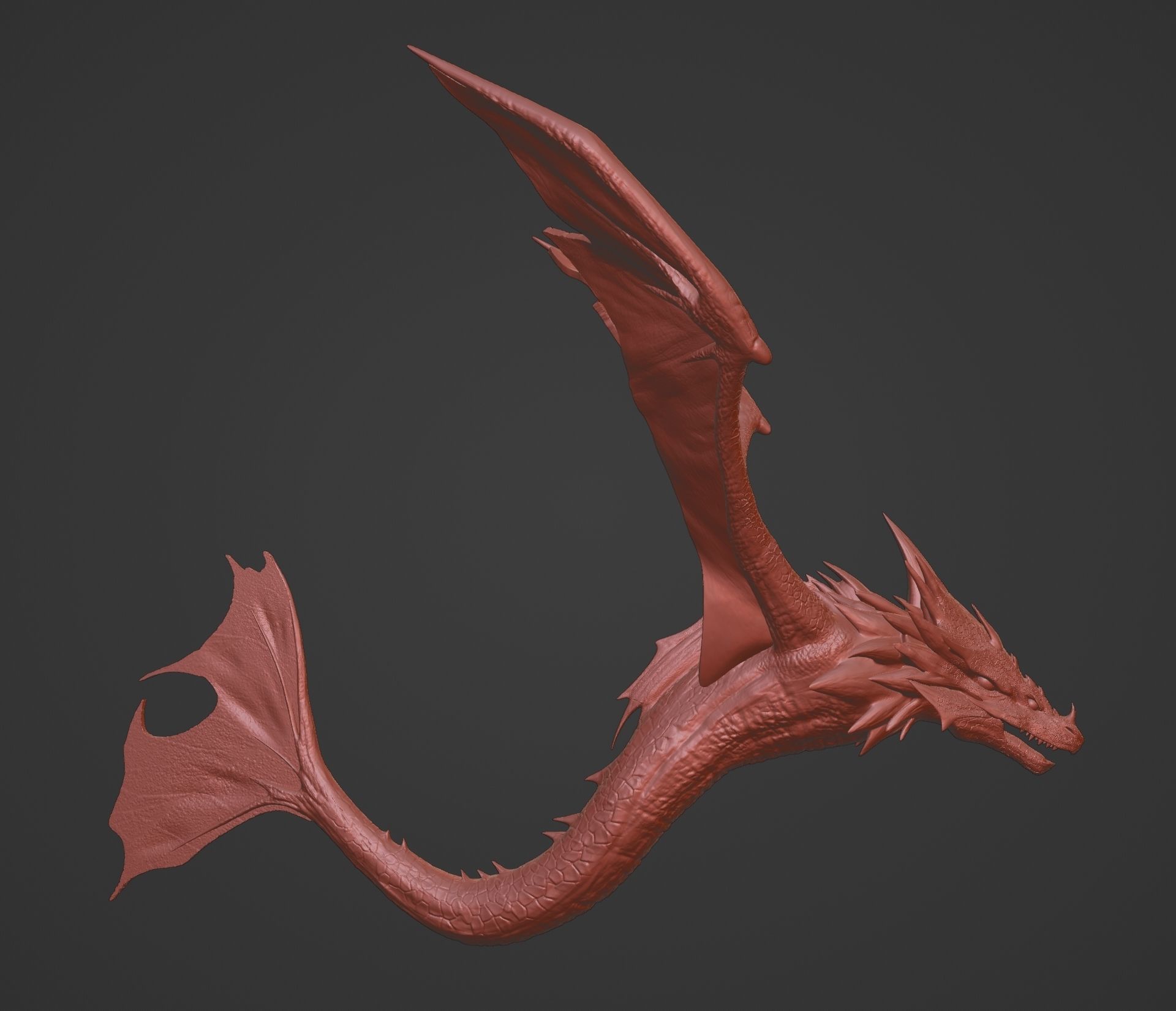Sea Dragon 3D print model_6