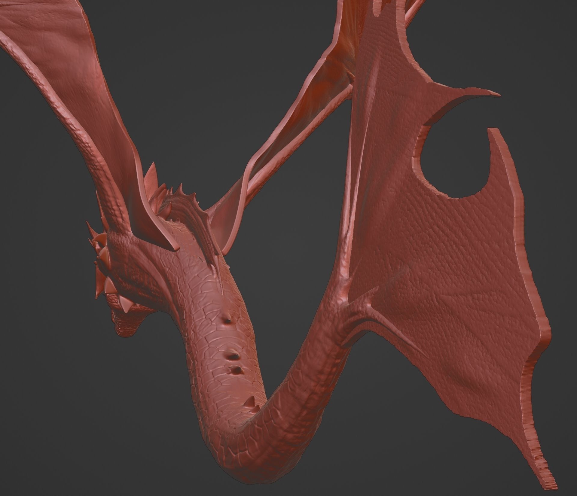 Sea Dragon 3D print model_10