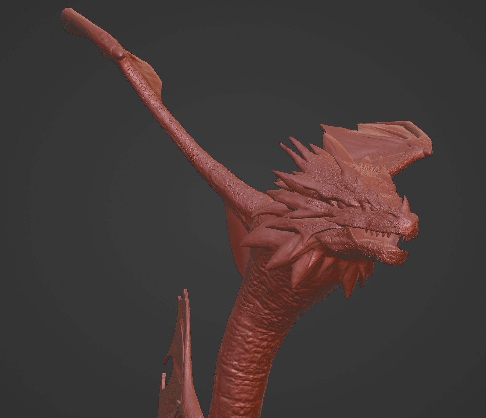 Sea Dragon 3D print model_7