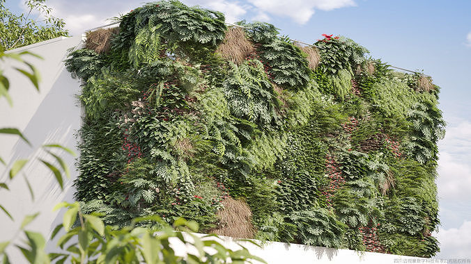 Maxtree Plant Models Vol 4 Low Poly - Mesh 3D model