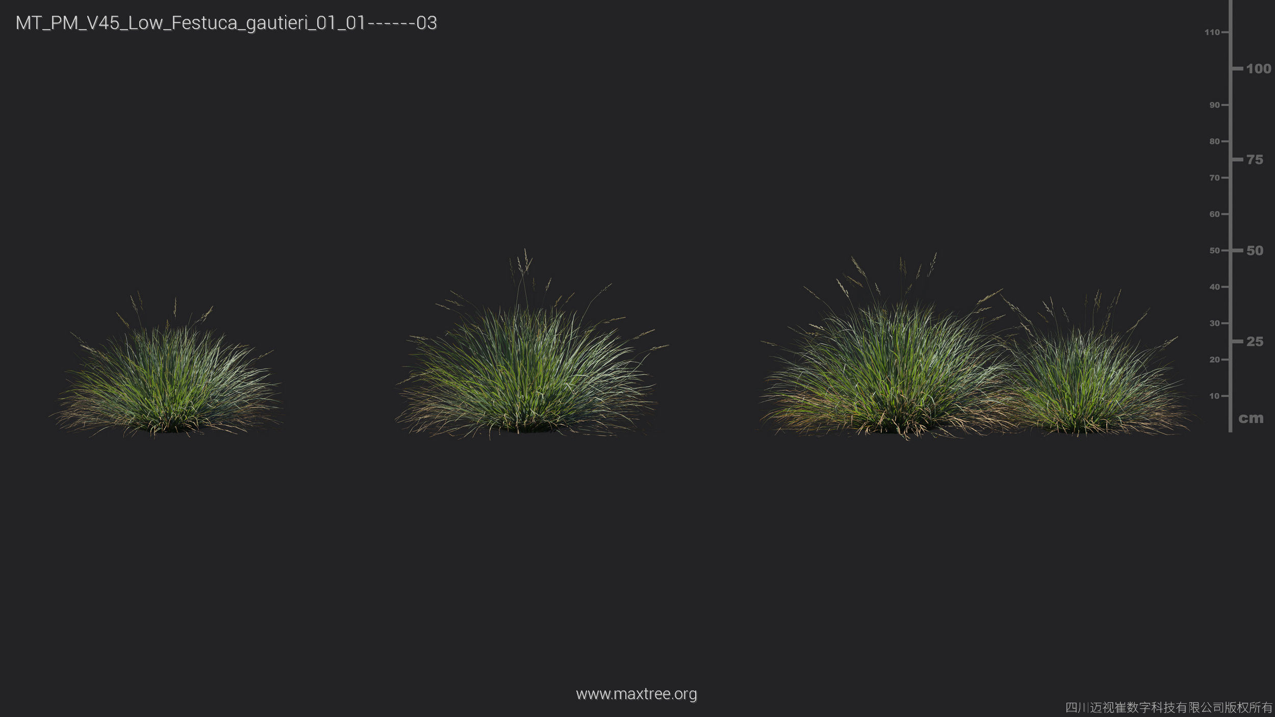Maxtree Plant Models Vol 45 Low Poly - Mesh 3D model_11