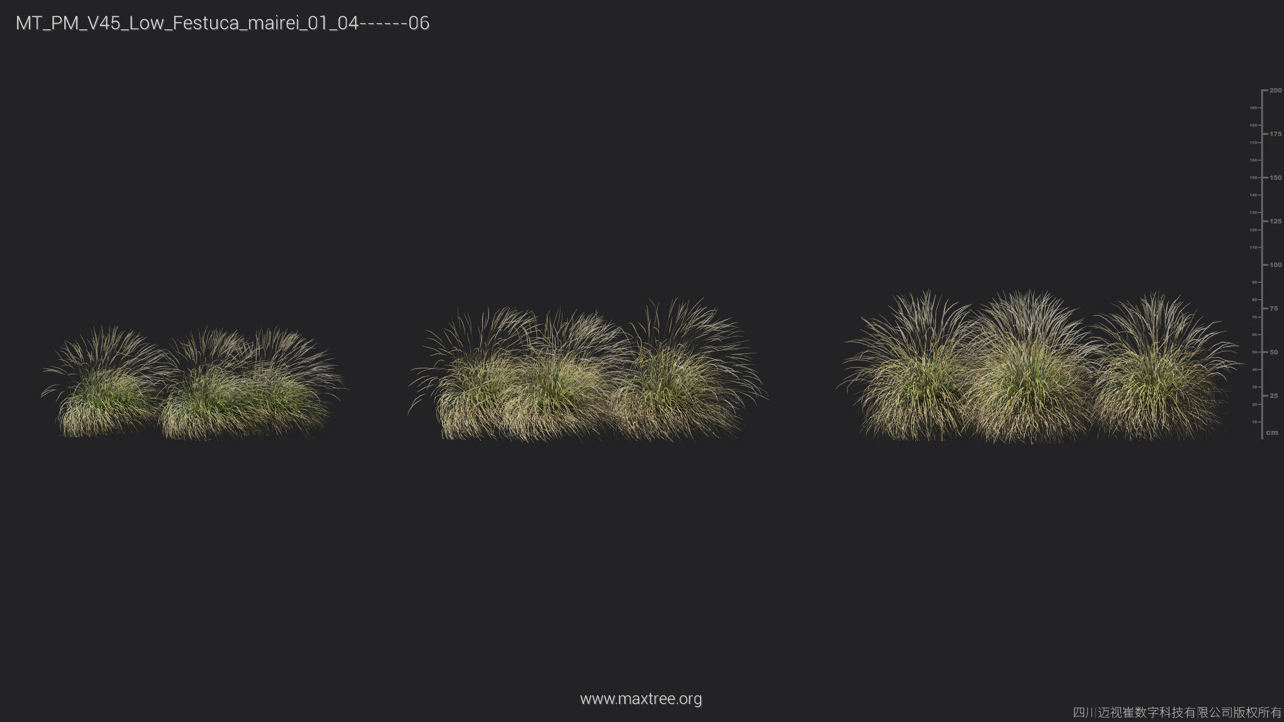 Maxtree Plant Models Vol 45 Low Poly - Mesh 3D model_16