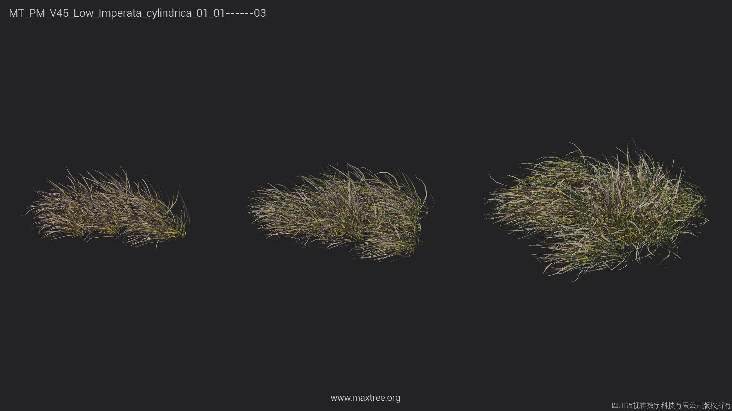 Maxtree Plant Models Vol 45 Low Poly - Mesh 3D model_19