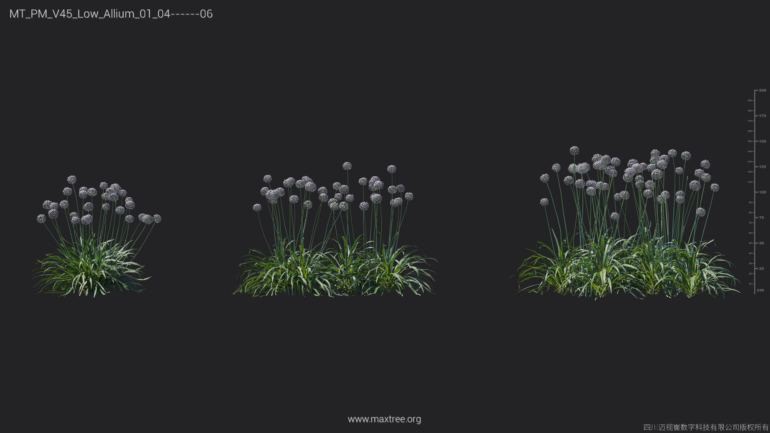 Maxtree Plant Models Vol 45 Low Poly - Mesh 3D model_4