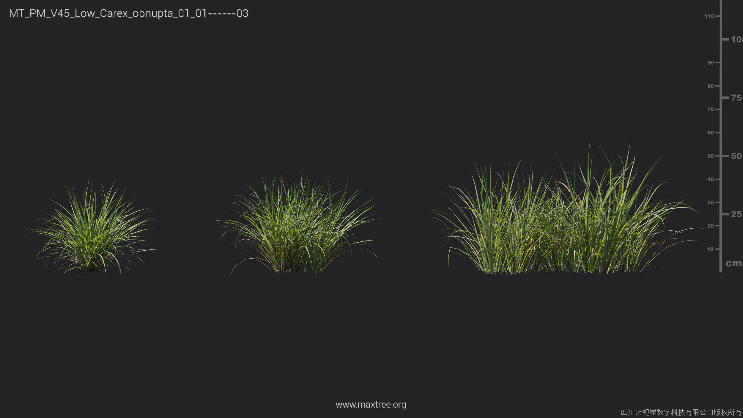 Maxtree Plant Models Vol 45 Low Poly - Mesh 3D model_9