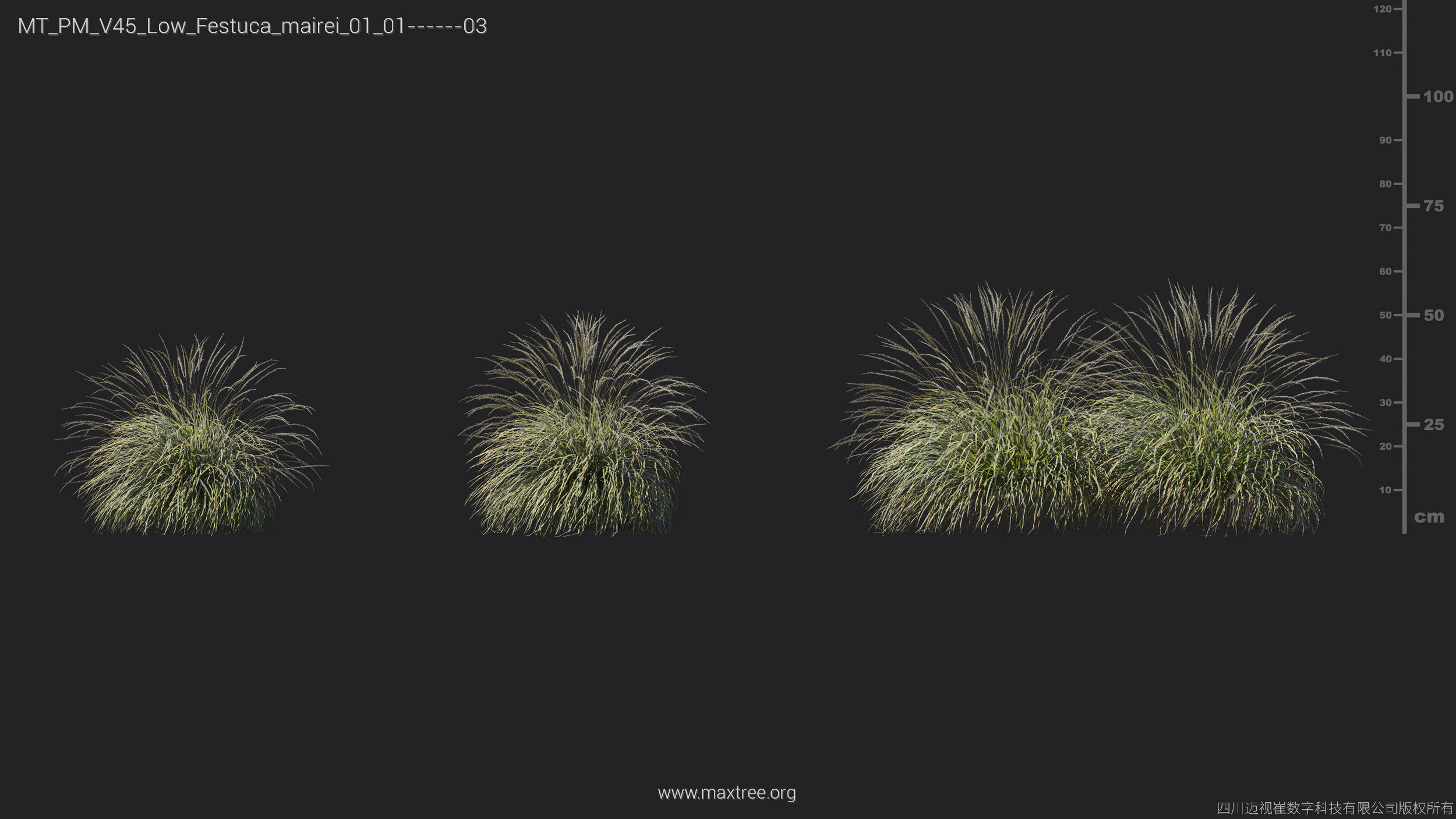 Maxtree Plant Models Vol 45 Low Poly - Mesh 3D model_15