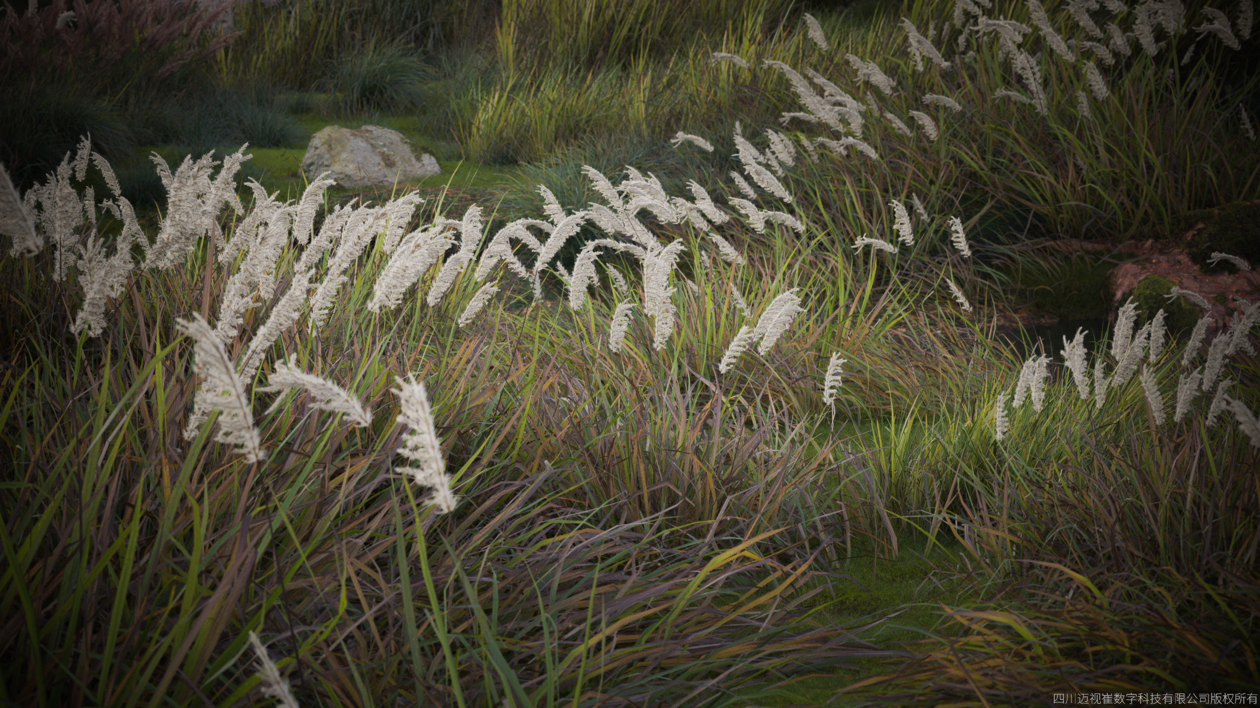 Maxtree Plant Models Vol 45 Low Poly - Mesh 3D model_1