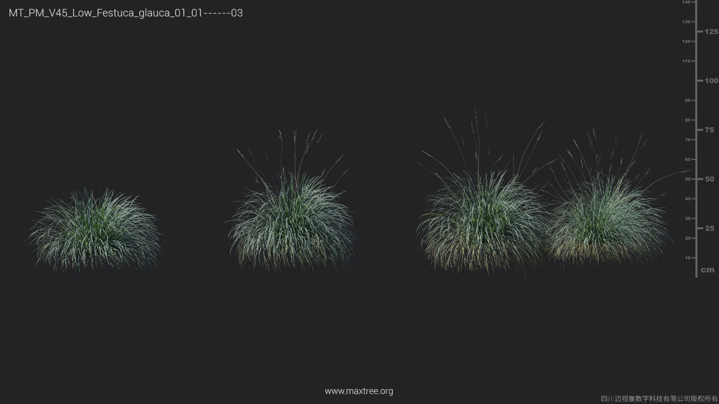Maxtree Plant Models Vol 45 Low Poly - Mesh 3D model_13