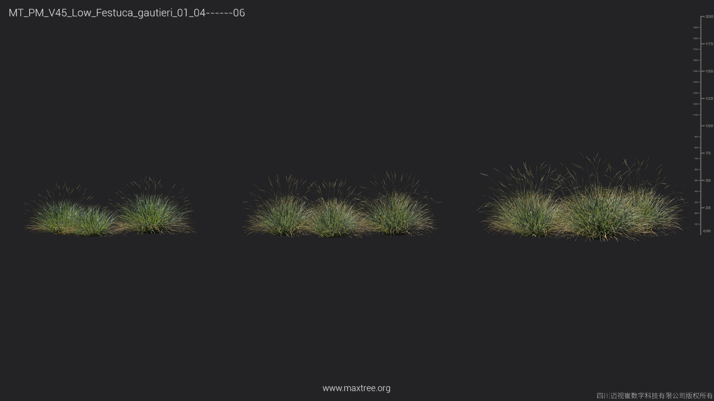 Maxtree Plant Models Vol 45 Low Poly - Mesh 3D model_12