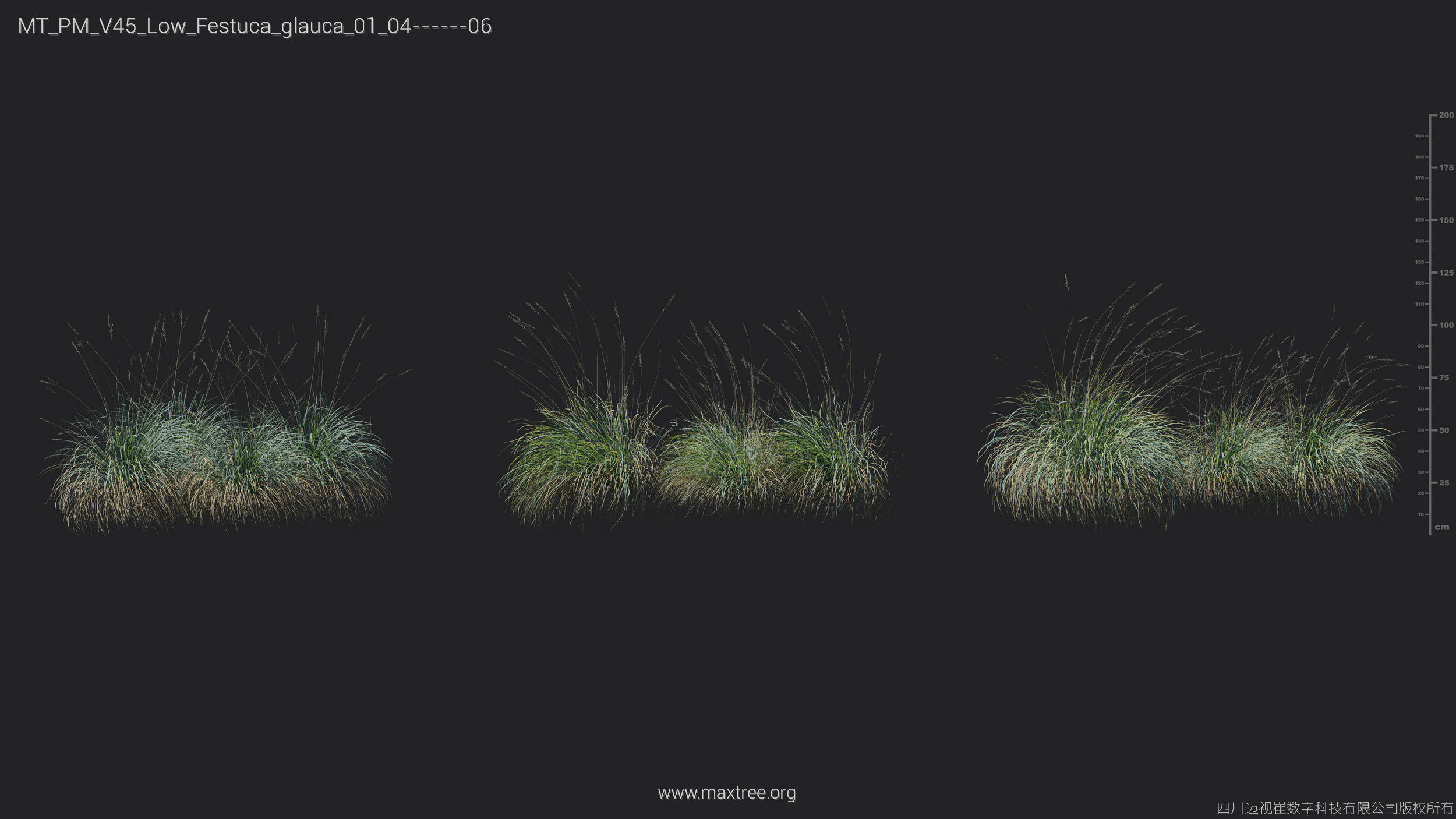 Maxtree Plant Models Vol 45 Low Poly - Mesh 3D model_14