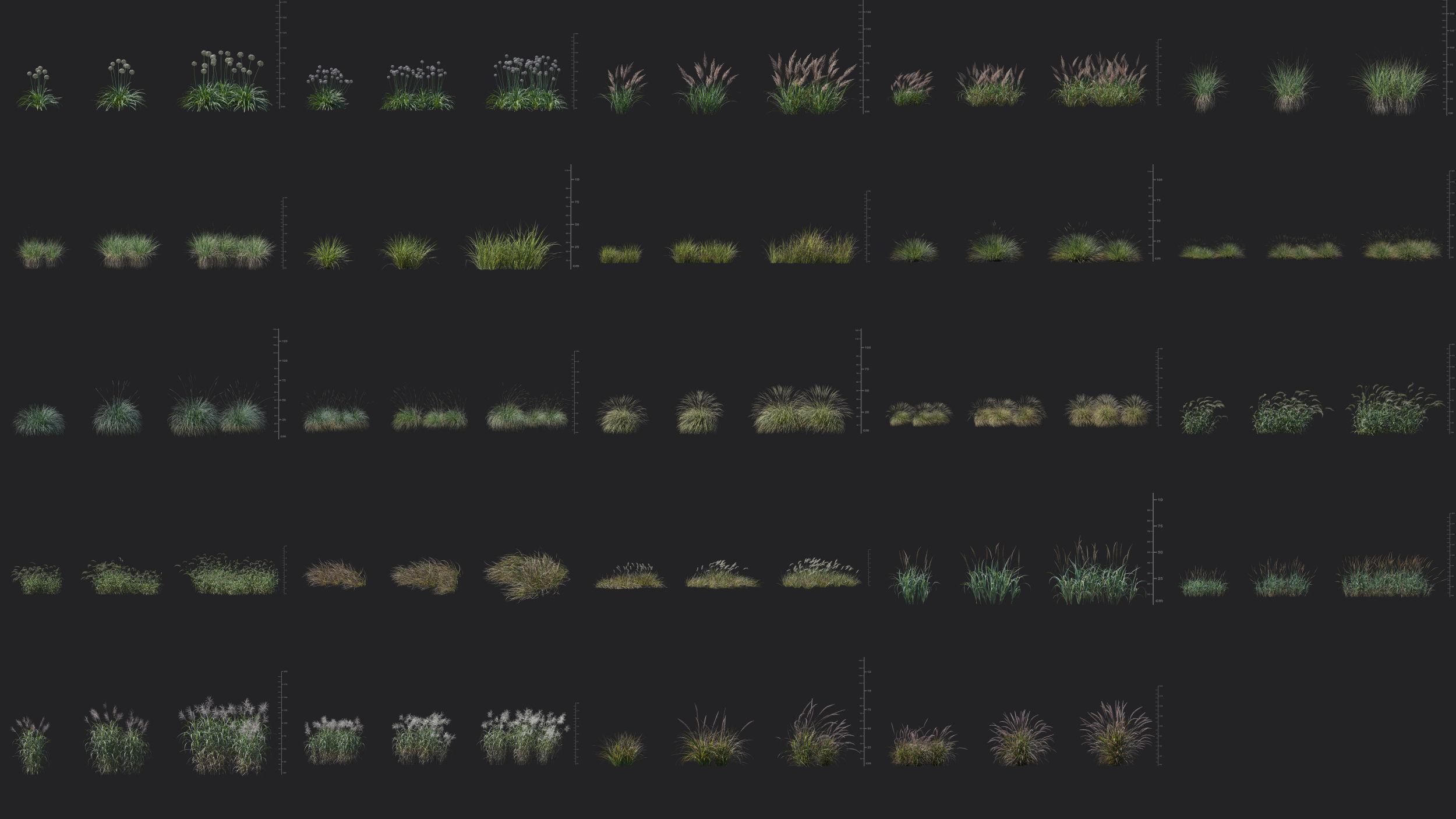 Maxtree Plant Models Vol 45 Low Poly - Mesh 3D model_2