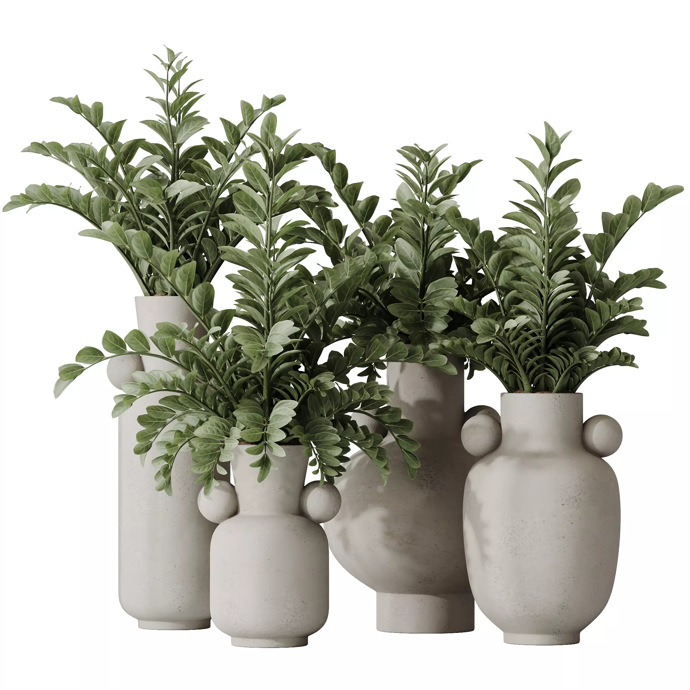 HQ HousePlants ZZ Zamioculcas Zamiifolia Araceae 3D model