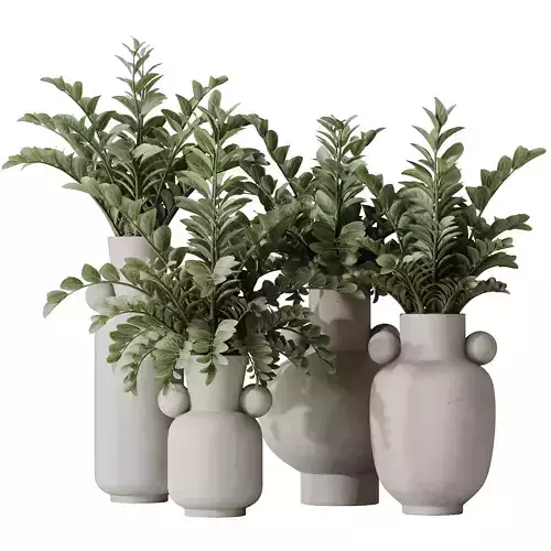HQ HousePlants ZZ Zamioculcas Zamiifolia Araceae 3D model