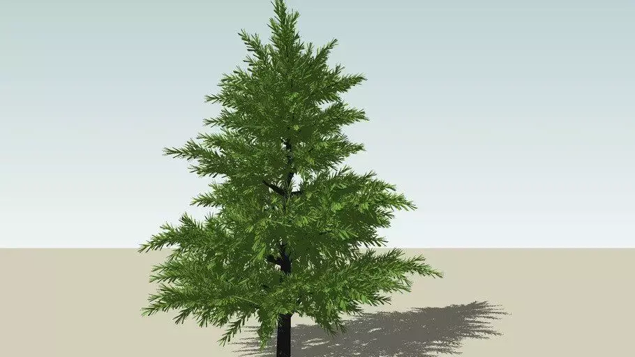 free pine tree for christmas Free 3D model