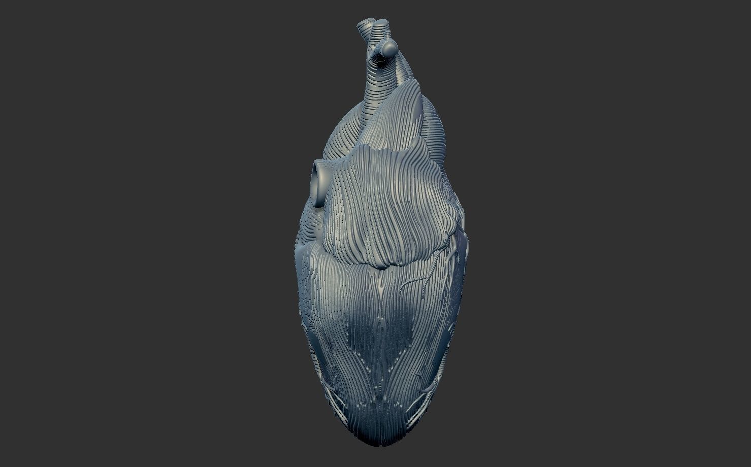 Heart Print human 3D print model 3D print model_2