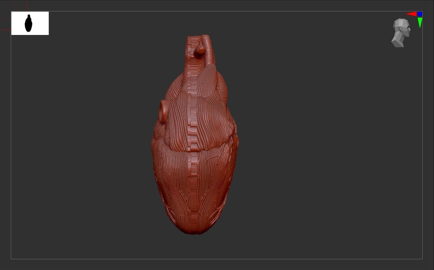 Heart Print human 3D print model 3D print model_5