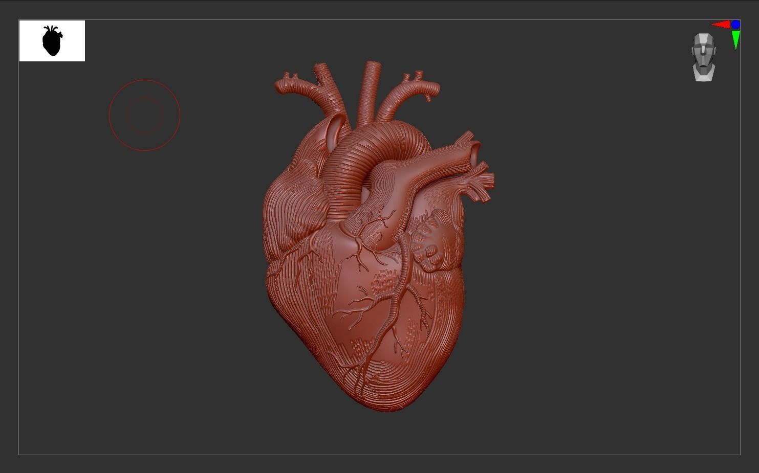 Heart Print human 3D print model 3D print model_3